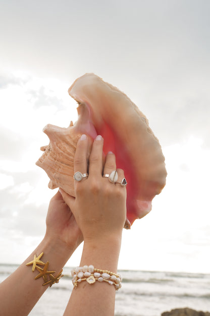 shiva shell ring