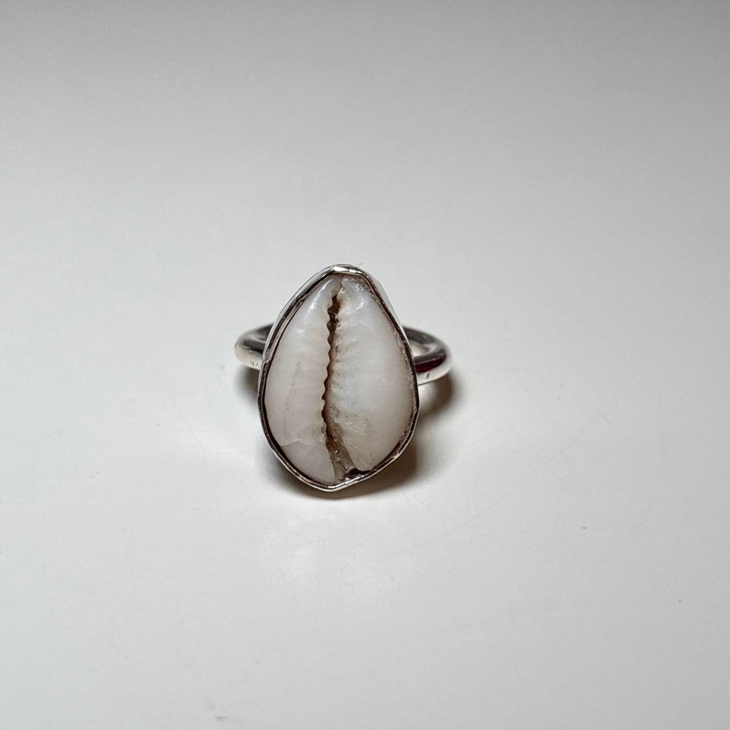 cowrie shell ring- plain bezel