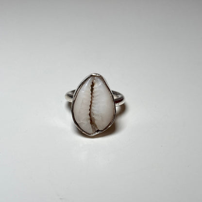 cowrie shell ring- plain bezel
