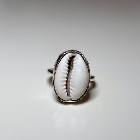 cowrie shell ring- plain bezel