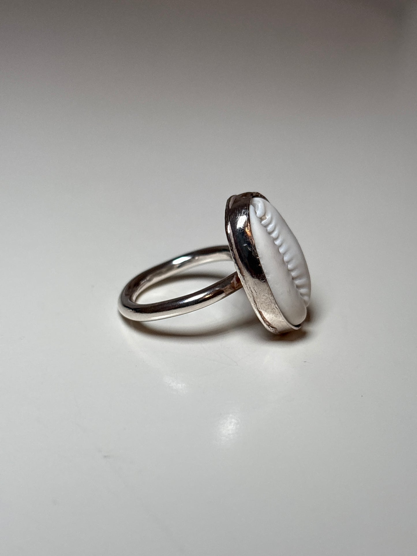 cowrie shell ring- plain bezel