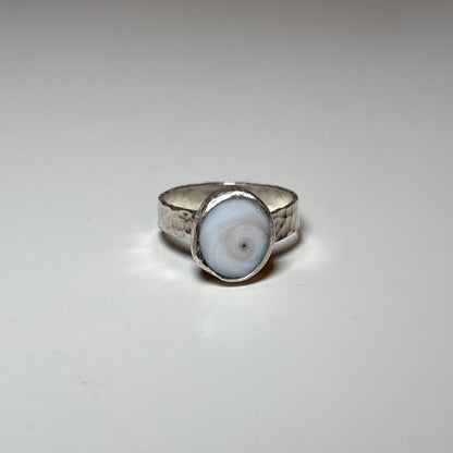 shiva shell ring