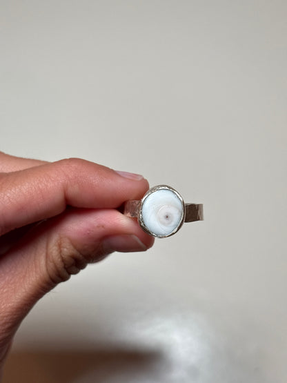 shiva shell ring