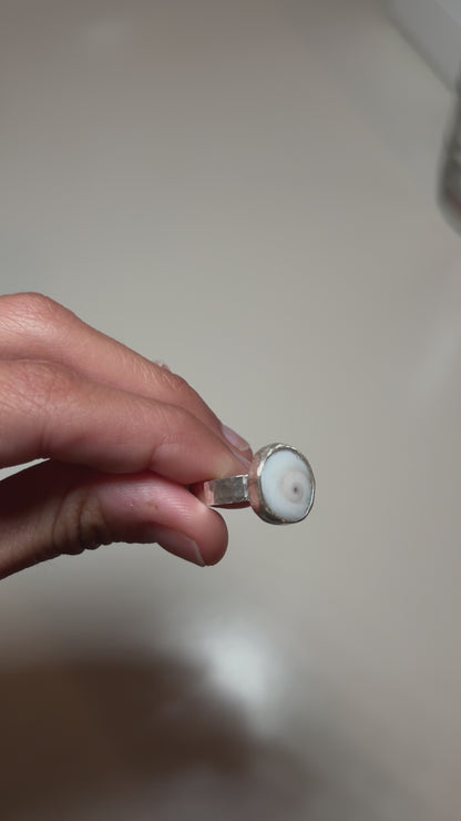 shiva shell ring