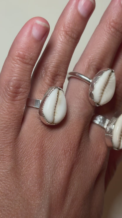 cowrie shell ring